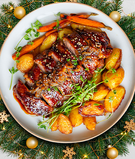 canard-vignette-page